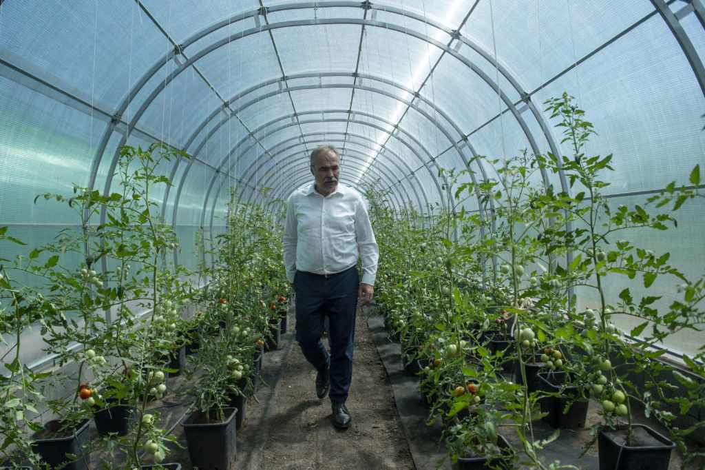 Nagy István agrárminiszter a Glia Kft. üvegházában a cég tarnabodi telephelyén 2022. június 30-án. A modern, öntözéses technológiával megvalósított fejlesztés részeként egy 400 négyzetméter alapterületű üvegházat is építettek - MTI/Komka Péter