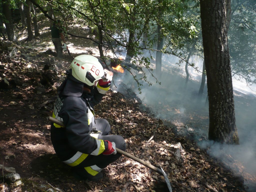 Sok érték pusztult el a Bükkben a tűz miatt 2022. július elején - Fotó: BNPI FB