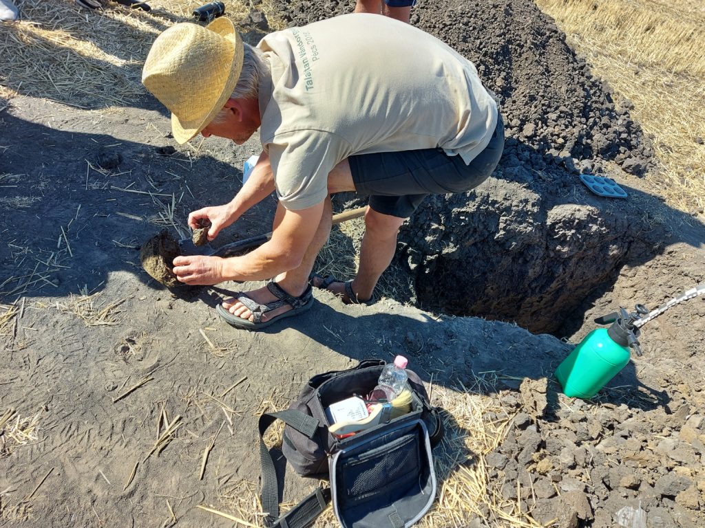 A szárazság és az intenzív művelés hatásai miatt ennél a talajszelvénynél 140 centiméter mélyre kellett ásni a jó szerkezetű és nedvességet tartalmazó réteg eléréséig - Fotó: Magro.hu, CSZS, Nádudvar