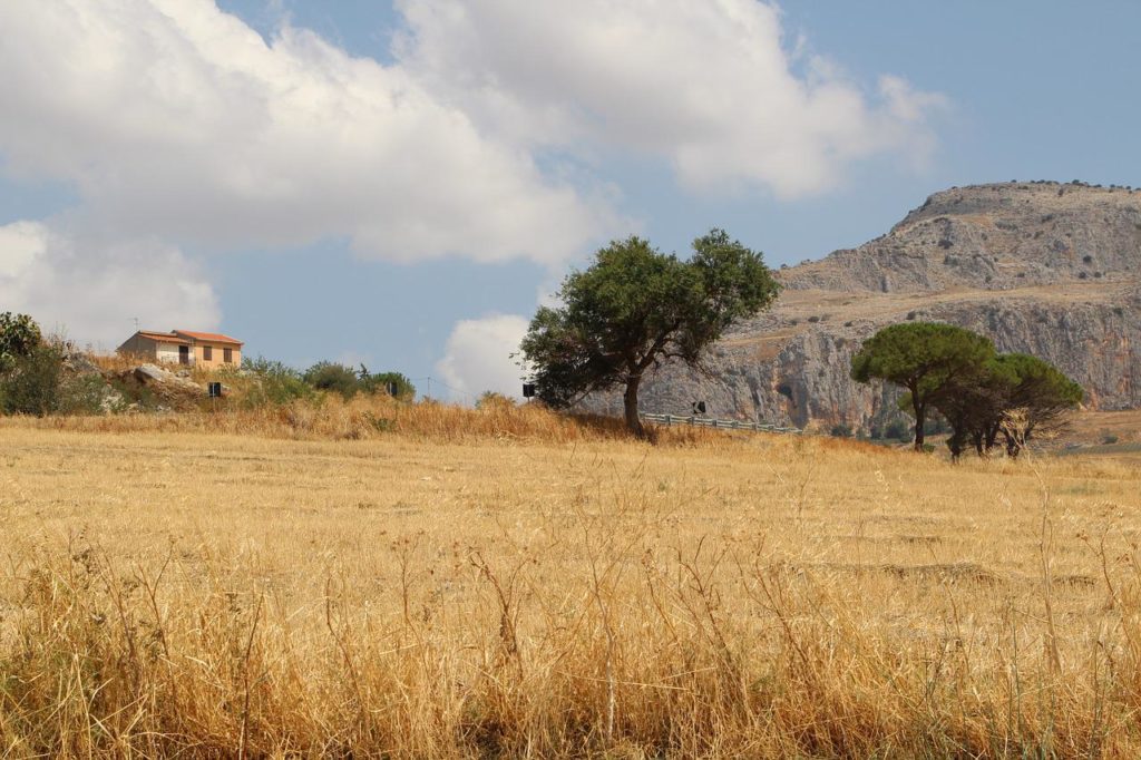 A legnagyobb olasz országos gazdaszervezet, a Coldiretti becslései szerint a zöldségek és gyümölcsök mintegy 15 százaléka "égett szét" augusztus elejéig a nyári szárazság miatt - Fotó: Szicília, Olaszország, Pixabay