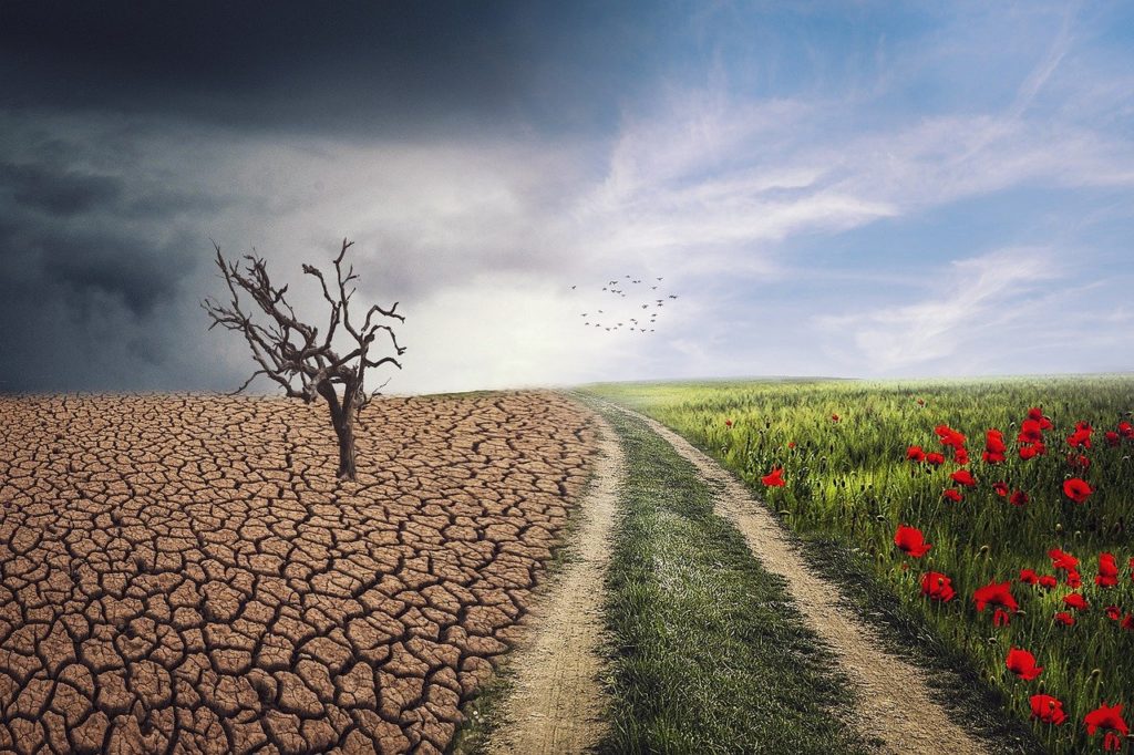 A klímaváltozás okozta aszály idén Magyarország mezőgazdasági területeinek az 53 százalékában (2,7 millió hektáron) okozott súlyos károkat