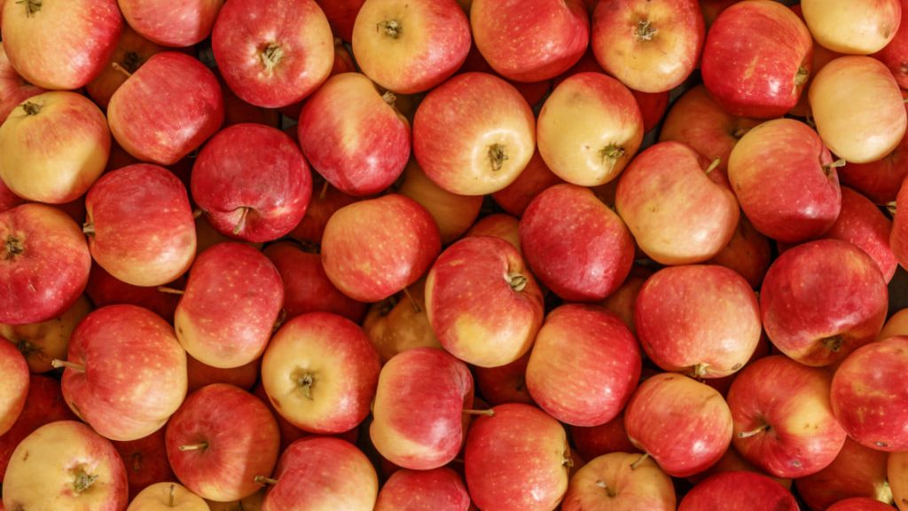Az Európai Bizottság földrajzi árujelző (PGI) minősítését kapta meg a derecskei alma 2022-ben - képünk illusztráció