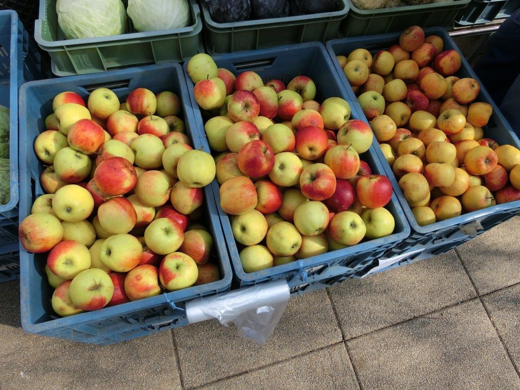 A Lengyel Gyümölcstermesztők Szövetsége szerint a 2022-es évben a feldolgozóipar kezében a kulcs az almatermesztési ágazat nyereségességéhez