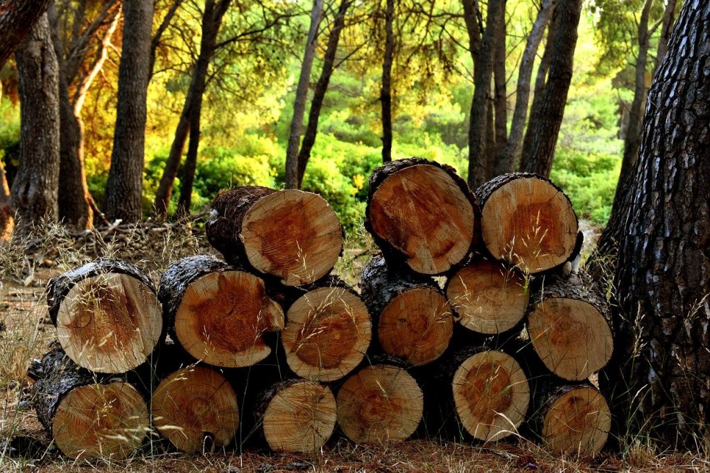 Az állami erdőgazdaságoknál megtermelt tűzifa egységes áron vásárolható meg, háztartásonként legfeljebb 10 erdei köbméter mennyiségben az ország 152 értékesítési pontján 