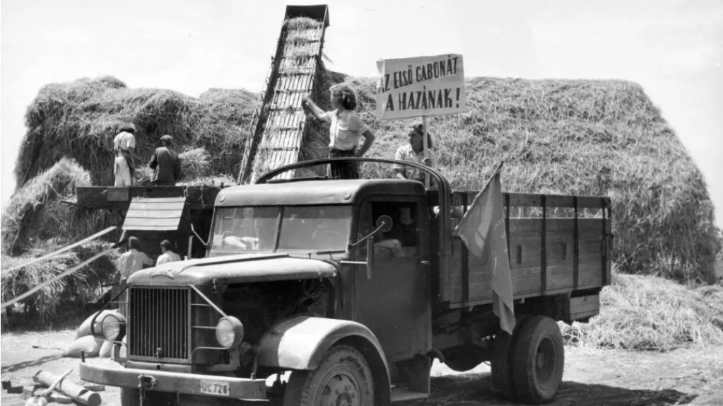 Aratás 1953-ban, Csepel teherautó segítségével - Fotó: Fortepan/Balla Zoltán