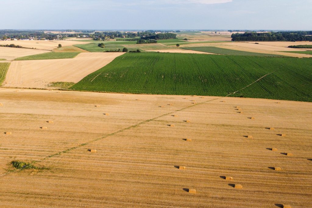 Átdolgoztatná az Európai Bizottsággal a növényvédőszer csökkentési tervet a német agrárminiszter - Fotó: Európai Unió, illusztráció