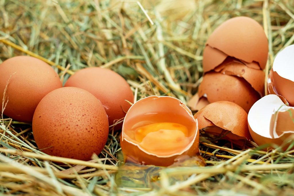  A ketreces tartásból származó tojás ugyanolyan értékű tápanyagforrás, mint a szabadtartásból származó
