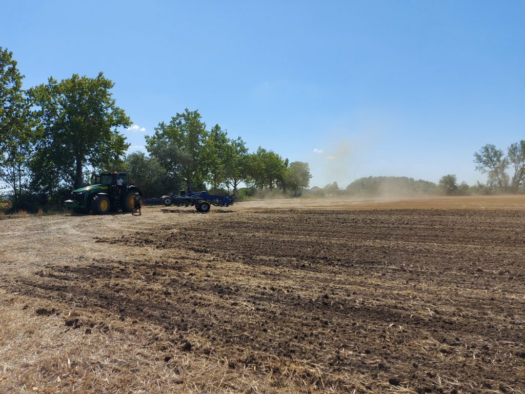 Számos problémára kínálnak ideális megoldást a talajmegújító mezőgazdasági gyakorlatok - Fotó: Magro.hu, CSZS, Nádudvar