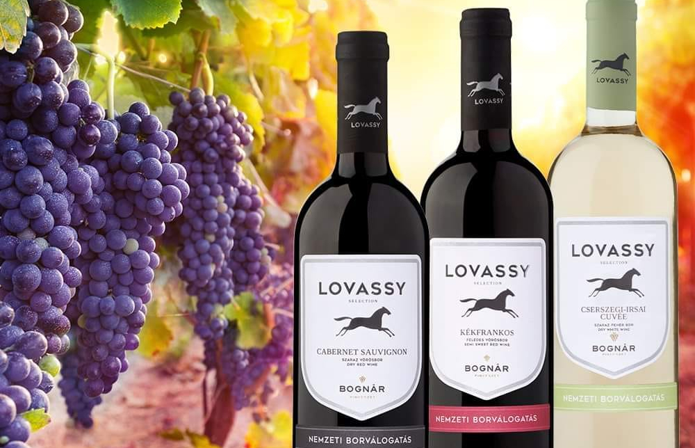 Az Ital Magyarország Kft. (IMO) csődje után a Lovassy Bor és a Bognár Pincészet borait gyártó Bognár-Vin Kft. is felszámolás alá került