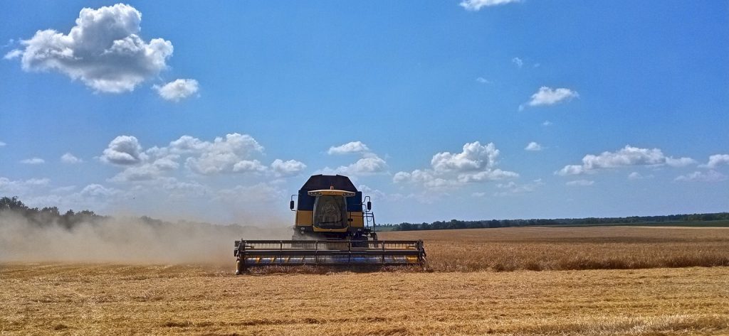 Az ukrán gabona sokszor nem halad át Magyarországon, hanem hazánkban ragad és bekerül a takarmányokba, valamint az élelmiszerekbe