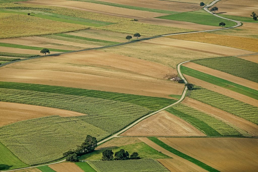 A 2015-től érvényes Közös Agrárpolitikában megjelenő számos újdonság között meghatározó és Magyarország számára kiemelt jelentőségű a tagállami mozgástér keretében kialakítható, termeléshez kötött támogatások rendszere.