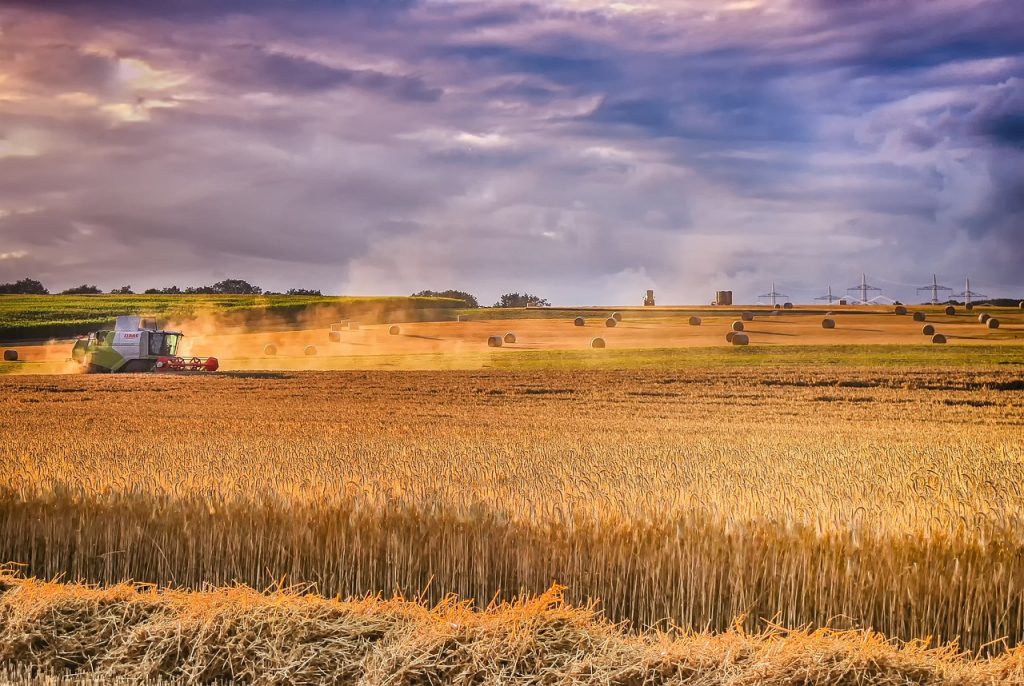 A Visegrádi Országok 4 agrárkamarája és több szervezet közös felhívást intézett az Európai Bizottsághoz, a fő téma az ukrán gabona volt, határozottan kérték az Ukrajnából származó mezőgazdasági termékek miatti tarthatatlan helyzet sürgős kezelését