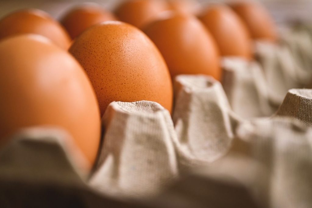  Mivel a tojásfogyasztást nem tiltották vallási akadályok, a termelés és a fogyasztás növekedett, ami a főbb termelési központok területi eltolódását eredményezte.