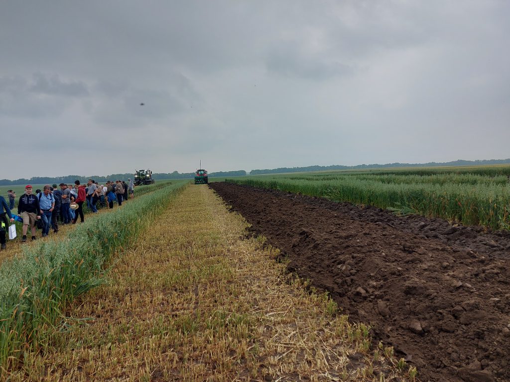 A sávokon át haladva nézték meg a gépek tudását a gazdák - Fotó: Magro.hu, CSZS, Mezőfalva