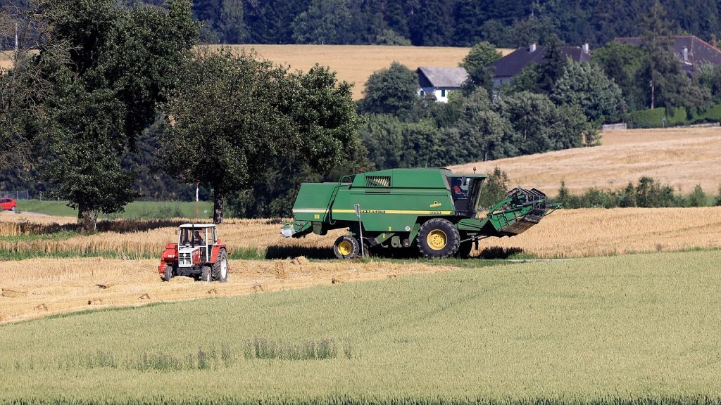 Az ukrán gabonaimport tilalmát tartják továbbra is az egyik fő EU-s védelemnek a Visegrádi Csoport (V4) agrárkamaráinak vezetői