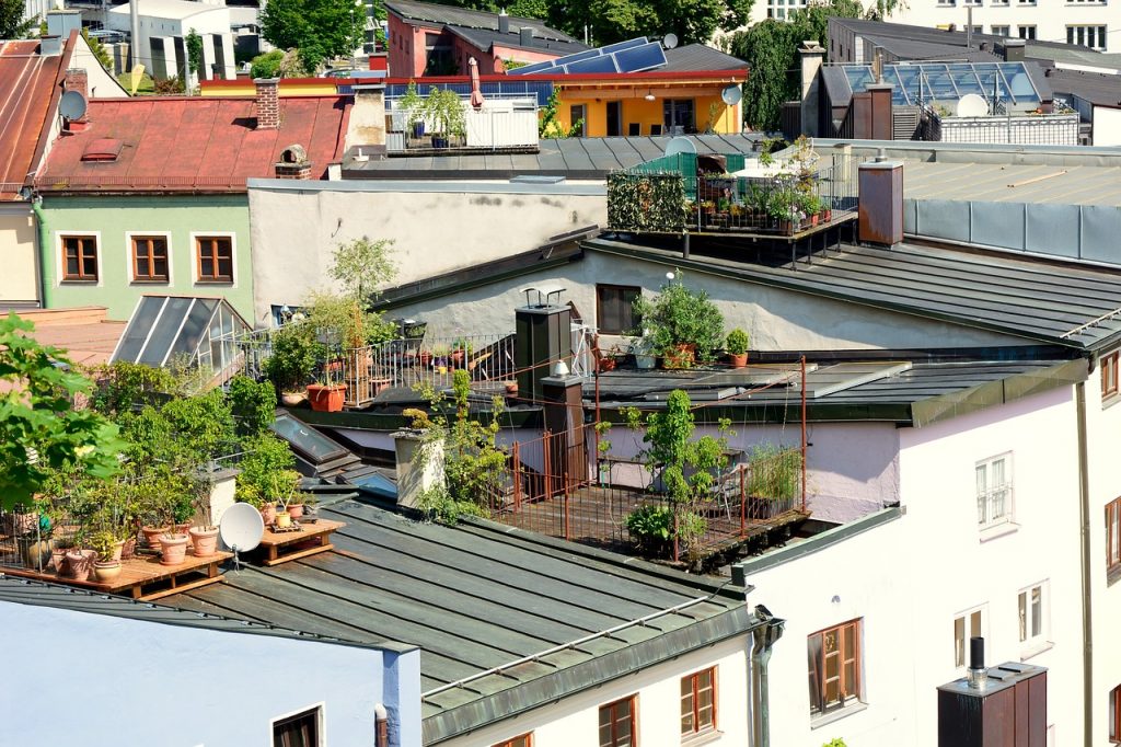A városokban csak igen korlátozott mértékben van lehetőség a növénytermesztésre, a tetőkertek viszont segíthetnek megoldani a zöldségtermesztés kihívásait akár egy zsúfolt belvárosban is