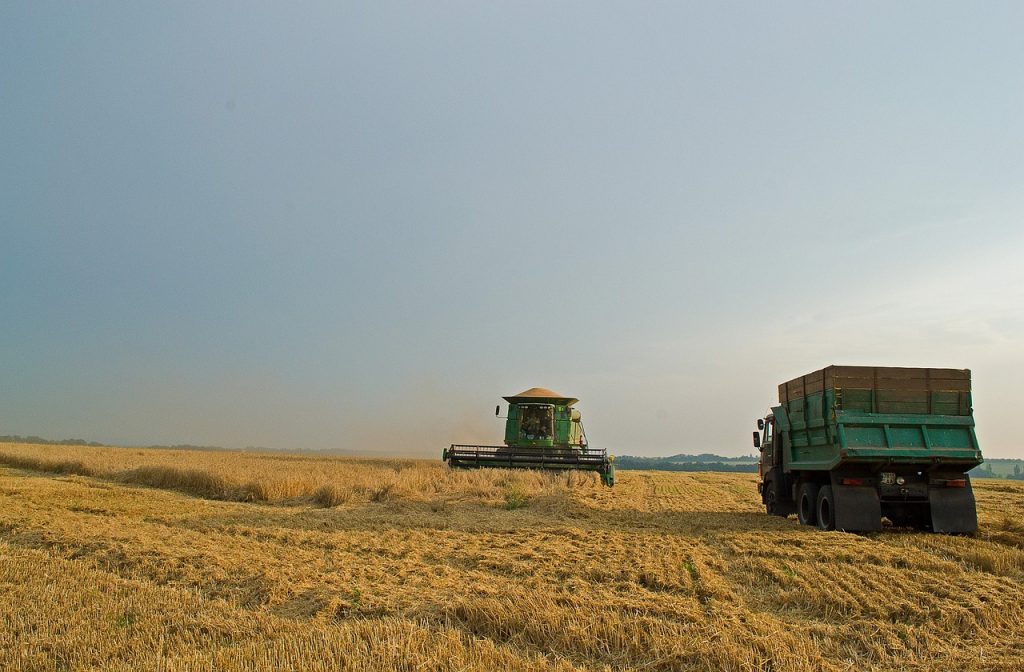 Elfoglalt mezőgazdaság: hatalmas területen vetnek és aratnak az oroszok a megszállt ukrán megyékben - képünk illusztráció, még a háború előtt készült Ukrajnában