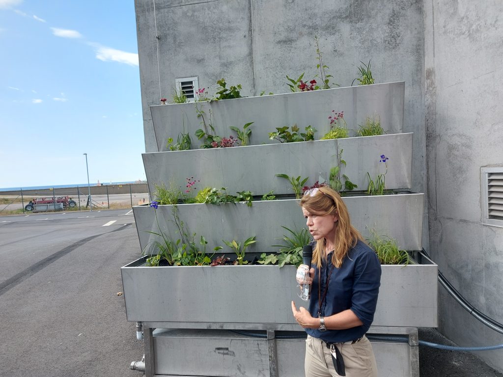 A RecoLab tisztítótelep a helyszíni növénytáplálást is gyakorolja - Fotó: Magro.hu, CSZS, Helsingborg