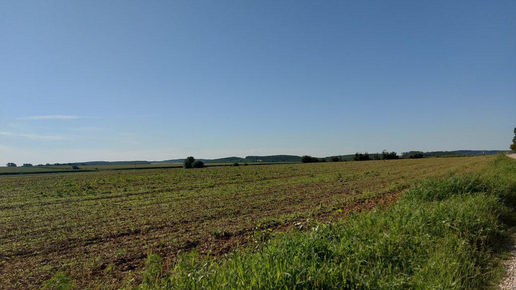 A Magyar Államkincstár 2023. augusztus 15-ig határozatban értesíti a mezőgazdasági termelőt kárenyhítési hozzájárulás-fizetési kötelezettségének összegéről - Fotó: Magro.hu, CSZS, Miklósfa