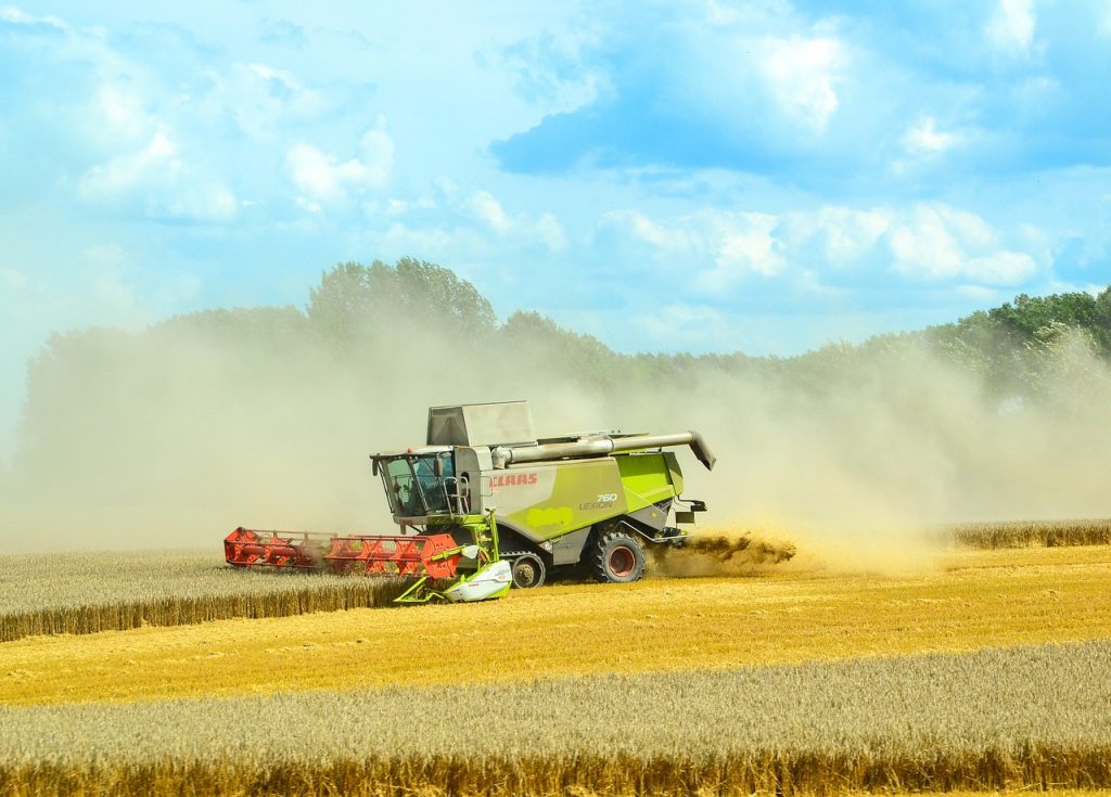 Megérzi a világ gabonapiaca, hogy alacsonyabb lesz az idén az orosz termés