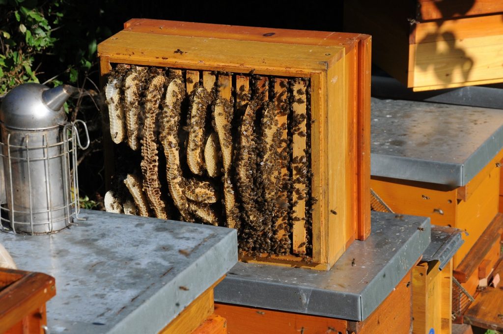 A most megjelent rendelet által szabályozott új rendszerben javarészt a korábbi, jól működő Méhészeti Nemzeti Program támogatási formái szerepelnek, 2,8 milliárd forintos forráskeret áll rendelkezésre
