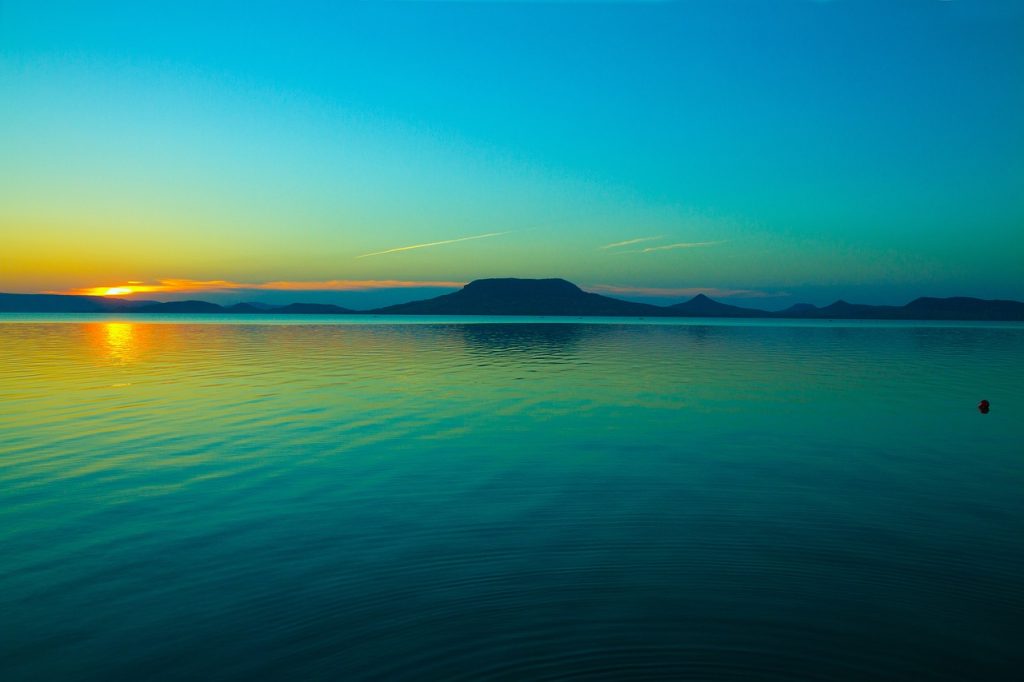 A Nagy Tavak és Vizes Élőhelyek Szövetsége a 2023-as Zöld OT-n önálló balatoni szekcióülést szervezett A Balaton régió problémái, nyílt párbeszéd a tó jövőjéért címmel, itt jelentették be, hogy petíciót indítottak a balatoni ökoszisztéma megmentéséért