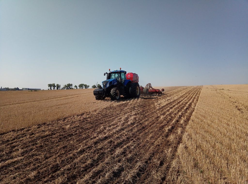 Kukoricavetés a talajmegújító mezőgazdaság keretrendszerének alkalmazásával - Fotó: TMMG FB - Talajmegújító Mezőgazdaság - Kökény Attila