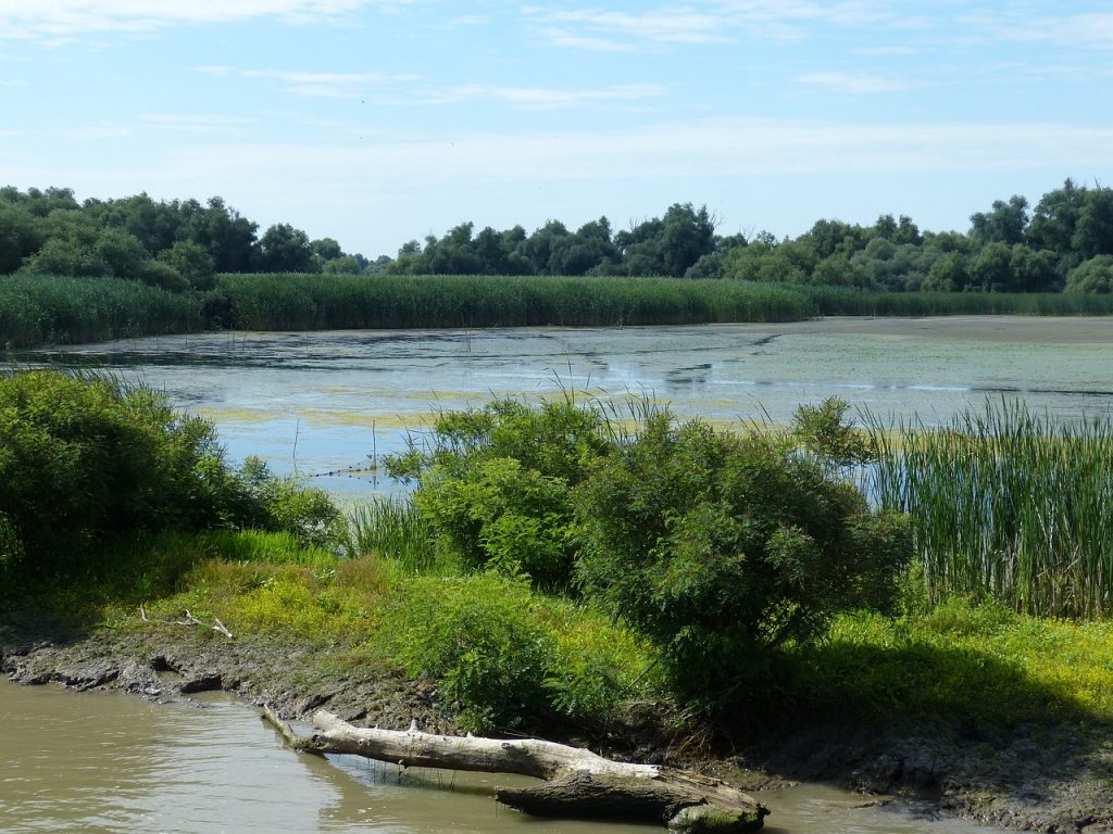 Tetten érték Dorin Merant, a Tulcea megyei környezetvédelmi őrszolgálat vezetőjét, miközben 25 ezer lejes (közel 2 millió forintnyi) kenőpénzt fogadott el - a képen a megyében található Duna-delta vidéke egy része
