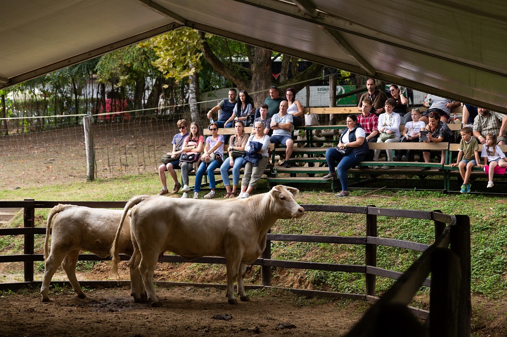 Újra állattenyésztő ünnep volt a Dél-Dunántúlon; közel 35 ezren látogattak ki a KÁN Egyetemi Napok rendezvényeire a Somogy vármegyei Kaposváron