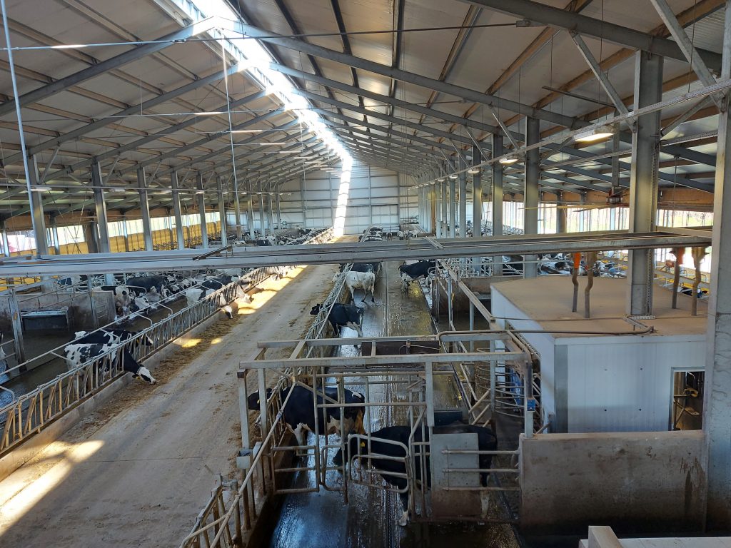 Miközben a tej felvásárlási ára folyamatosan csökken, az import is új erőre kapott, az elmúlt 8 hónapban jelentős mennyiségű félkemény sajt és UHT tej érkezett az országba - Fotó: Magro.hu, CSZS, Jászárokszállás