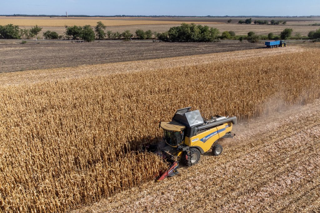 Kombájn dolgozik kukoricában Orosháza határában 2023. szeptember 20-án. Fotó: MTI/Rosta Tibor
