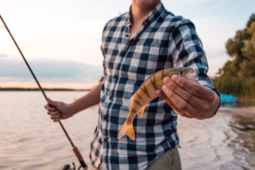 A Catch and Release szemlélet, vagyis a “Fogd meg és engedd vissza” elvét több horgász szakember tartja nagyon hasznosnak és követendőnek