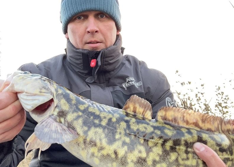 Bánkuti Viktor pergetve fogott egy menyhalat a Duna szigetközi szakaszán - Fotó: Pecaverzum