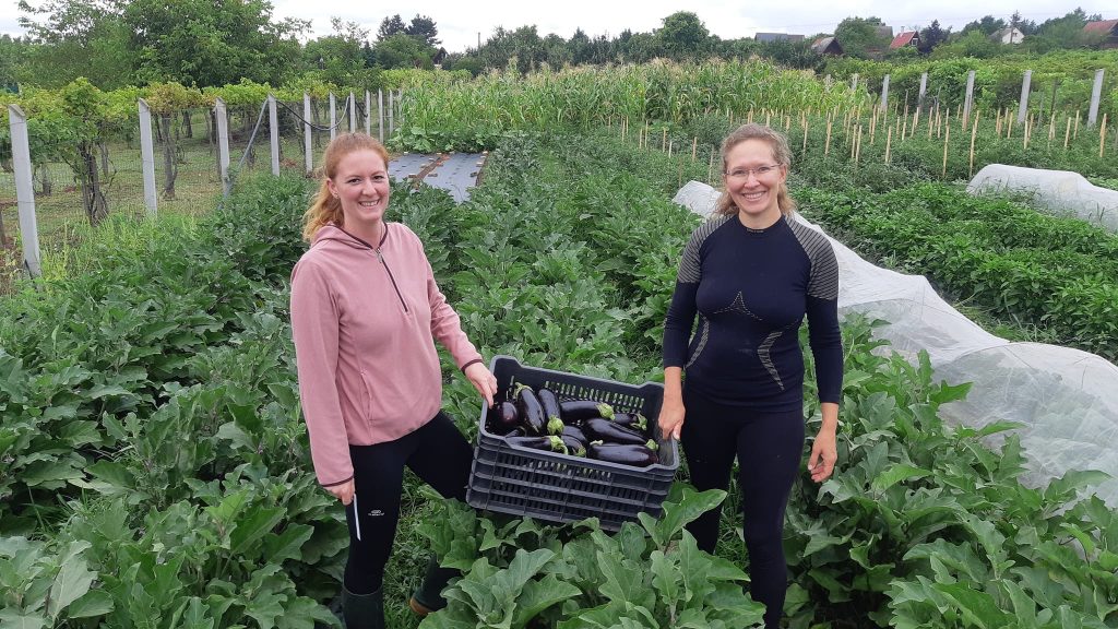 Fóris Anna (jobbra) és a Virágosélet zöldségközösség egyik önkéntese, Betti - Fotó: FB