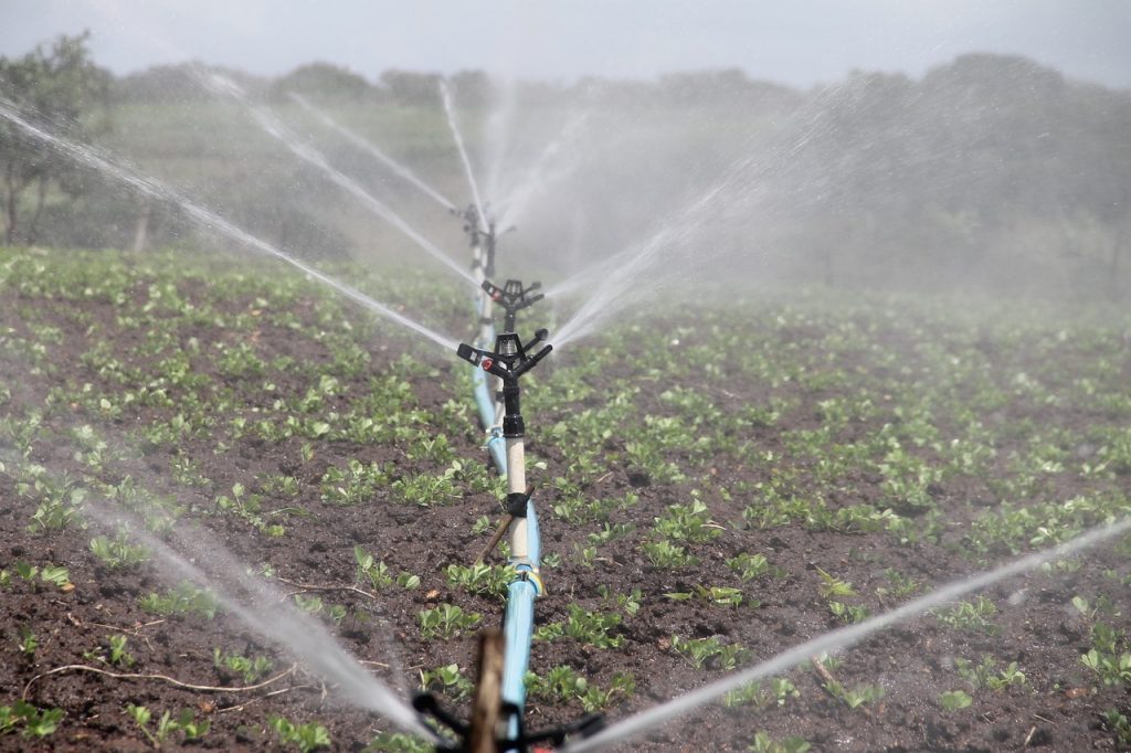 A vízkészletekkel való megfelelő gazdálkodást, a vízkészletek hosszú távú megőrzését biztosítani kell. A vízkeret-szabályozás előírja a tagállamok részére azt is, hogy nemzeti vízgyűjtő-gazdálkodási tervet kell készíteni 