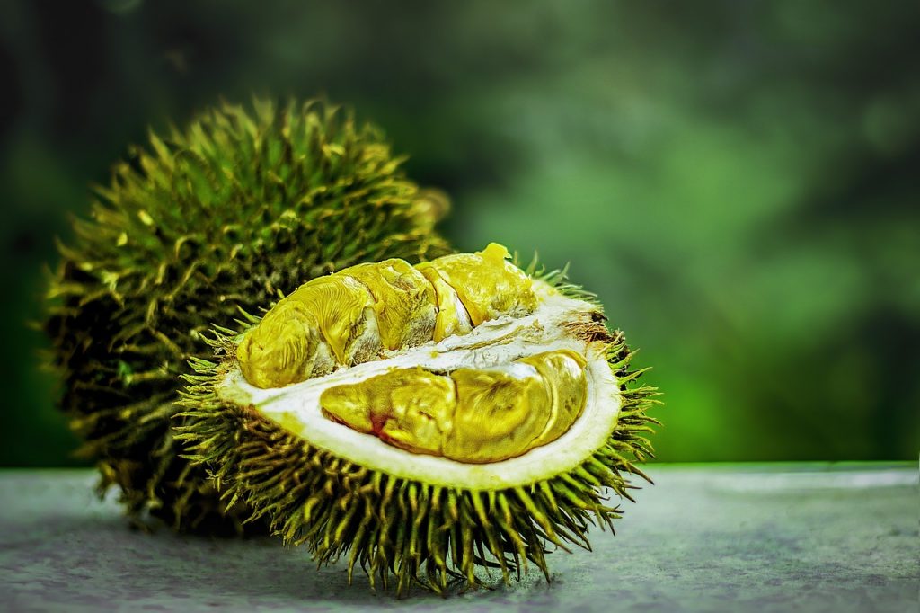 Kína a termékpiac védelme, az importfüggőség csökkentése érdekében a nem őshonos gyümölcsök, például a durian és a cseresznye helyi termelésének bővítésébe fektet be 